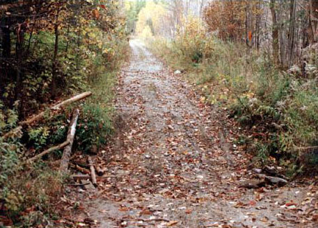 Hastings Trail in Fall